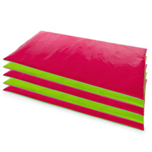 Sleeping Lionzzz Fuschia/Lime Premium Sleep Mats & Storage Bag - SET OF 5 Quality Sleeping Mattresses, 2oz Nylon Heavy Duty Storage Bag Baby Mat
