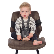 Dooky Baby Travel Chair/ Seat 5-Point Safety Harness, Universal Fit, Click System with Robust, Adjustable Straps, Broad Thick Velcro, Compact