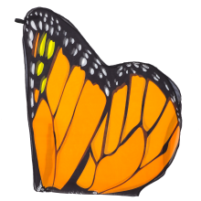4Pcs Orange Butterfly Wings Cape for Kids Cosplay Dress Up Party