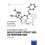 Foundations of Molecular Structure Determination by DUCKETT ET AL Pape 1
