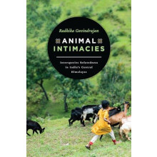 Animal Intimacies by Radhika Govindrajan Paperback Book