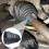 CV Joint Boot Kit 2 Pcs Rubber CV Axle Boot Replacement with  Sealing and Dust Protection 2