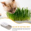 4Pcs Plastic Cat Grass Box Indoor Practical Nursery Hydroponic Planter 10