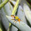9Pcs Realistic Bee Figurines Durable ABS Clay Wire Desktop Decor 4