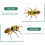 9Pcs Realistic Bee Figurines Durable ABS Clay Wire Desktop Decor 6