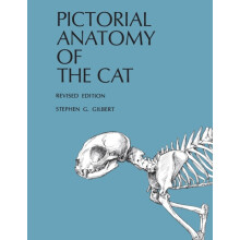 Pictorial Anatomy of the Cat by Stephen G. Gilbert Paperback Book