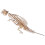 2Pcs 3D Assembly Wooden Spinosaurus Puzzle Kit Diy Educational Model 1