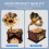 3 Pcs Retro Phonograph Music Box Desktop Ornament For Home Office 8
