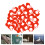 100Pcs Poultry Blind Spectacles for Goose Safety 6