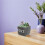 1Pot De Béton Décoratif Pour , Plante Succulente 6