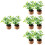 8Pcs Tiny Artificial Miniature Plants Lightweight Mini Toy Decorations 5
