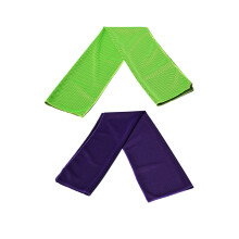 4Pcs Quick Dry Towels Microfiber Cooling Gym Towels for Outdoor Sports