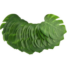 50pcs Wood Garden Labels House Shaped Plant Markers For Succulent Vegetable Flower Potted Greenery Tags Diy Nursery Outdoor Use