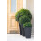 Keter Large Rattan Planter 2