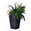 Keter Large Rattan Planter 3