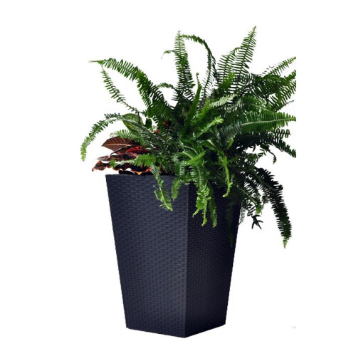 Keter Large Rattan Planter 2