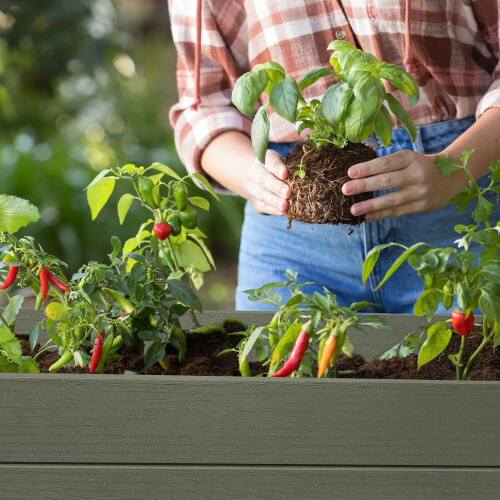 Keter Darwin Elevated Garden Bed - Green 1