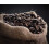 Black Donkey - 1KG Whole Coffee Beans (DECAF) 4