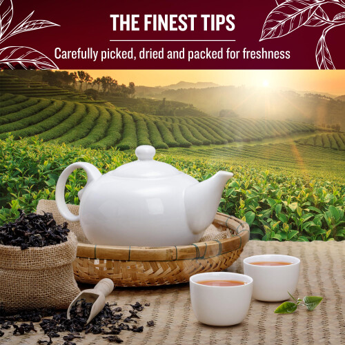 The Tea Masters Loose Leaf Tea - Breakfast Tea - Premium (1x1kg) 2