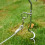 ensemble piquets chien hélice, ancrage résistant, portable 4