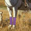 4Pièces Bottes Respirante Protectrices Extérieur 5