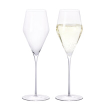 Champagne Flutes Set of 2, 8.8oz Elegant Long Stem Crystal Glasses for Wedding, Party, Anniversary