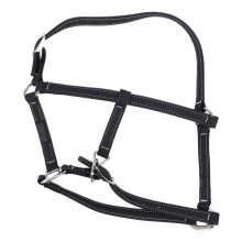 Nylon-Reittrense Großes Reitpferd Gebiss Verstellbares Kopfteil S Größe 1,35–1,65 m