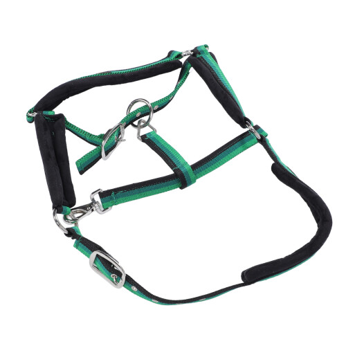Robust Nylon Horse Halter