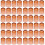 4000Pièces Coupes Outils Apiculteurs 5
