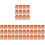 4000Pièces Coupes Outils Apiculteurs 2