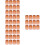 4000Pièces Coupes Outils Apiculteurs 7