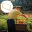 Cadre De Ruche En Bois Pour Fond De Apiculture 8