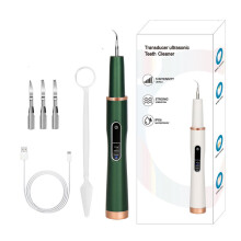 Ultraschall-Zahnsteinentferner und 4 Reinigungsköpfe Green