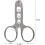 Stainless Steel Pine Nut Sheller OneSize Cracker Tool with Easy Shelling and Kernel Protection 2