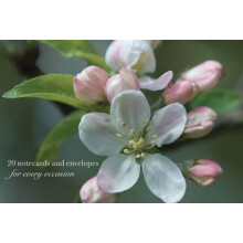 Cardbox of 20 Notecards and Envelopes Apple Blossom by Peony Press Oth
