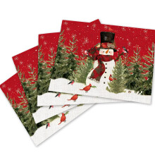 Christmas Placemats Set of 4, 12x18 Inch Holiday Table Decor with Festive Winter Design