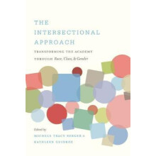 Intersectional Approach Paperback Book