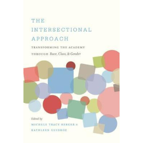 Intersectional Approach Paperback Book