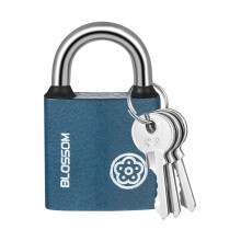 RosewineC Heavy Duty Padlock - Iron Padlock with 3 Keys, Weatherproof Security Lock for Shed, Warehouse, Fence, Office (32 MM)
