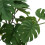 Turtle Leaf Rattan - Planta de plástico 25 cm / 9.8 in 12
