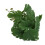 Turtle Leaf Rattan - Planta de plástico 25 cm / 9.8 in 9