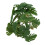 Turtle Leaf Rattan - Planta de plástico 25 cm / 9.8 in 16