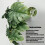 Turtle Leaf Rattan - Planta de plástico 25 cm / 9.8 in 7