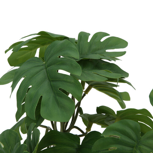 Turtle Leaf Rattan - Planta de plástico 25 cm / 9.8 in 2