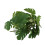 Turtle Leaf Rattan - Planta de plástico 25 cm / 9.8 in 13