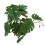 Turtle Leaf Rattan - Planta de plástico 25 cm / 9.8 in 10