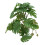 Turtle Leaf Rattan - Planta de plástico 25 cm / 9.8 in 8