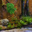 Turtle Leaf Rattan - Planta de plástico 25 cm / 9.8 in 5