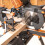 Evolution Power Tools FW255TCT60 Fine Finish Wood Cutting TCT Tungsten 4