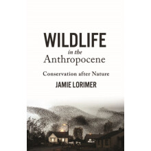 Wildlife in the Anthropocene by Jamie Lorimer Paperback Book